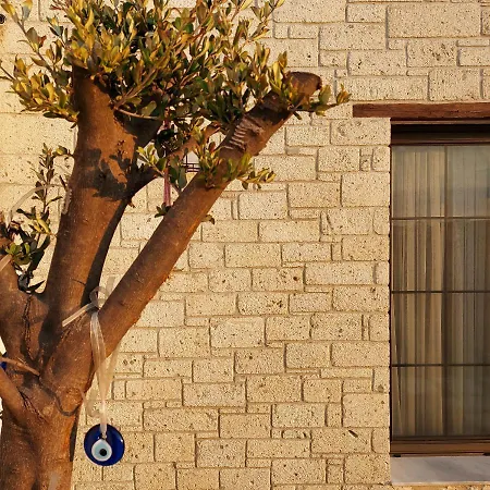 Отель Vahide Dalyan *