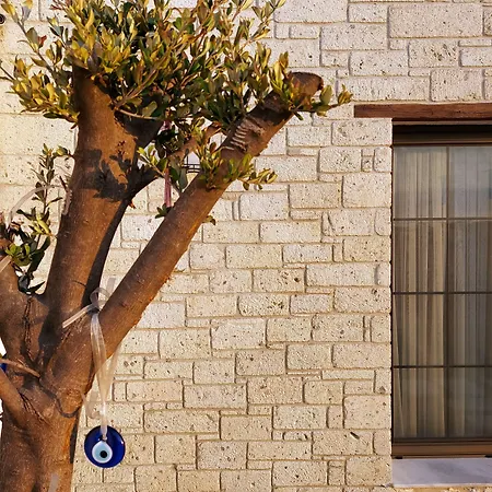 Отель Vahide Dalyan *